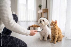 dinh dưỡng cho boss cực kì quan trọng