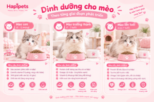 giai đoạn trưởng thành của bot miu